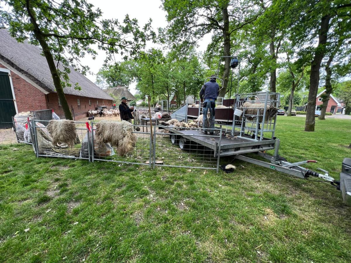 'T Bosrandje Villa Odoorn Bagian luar foto